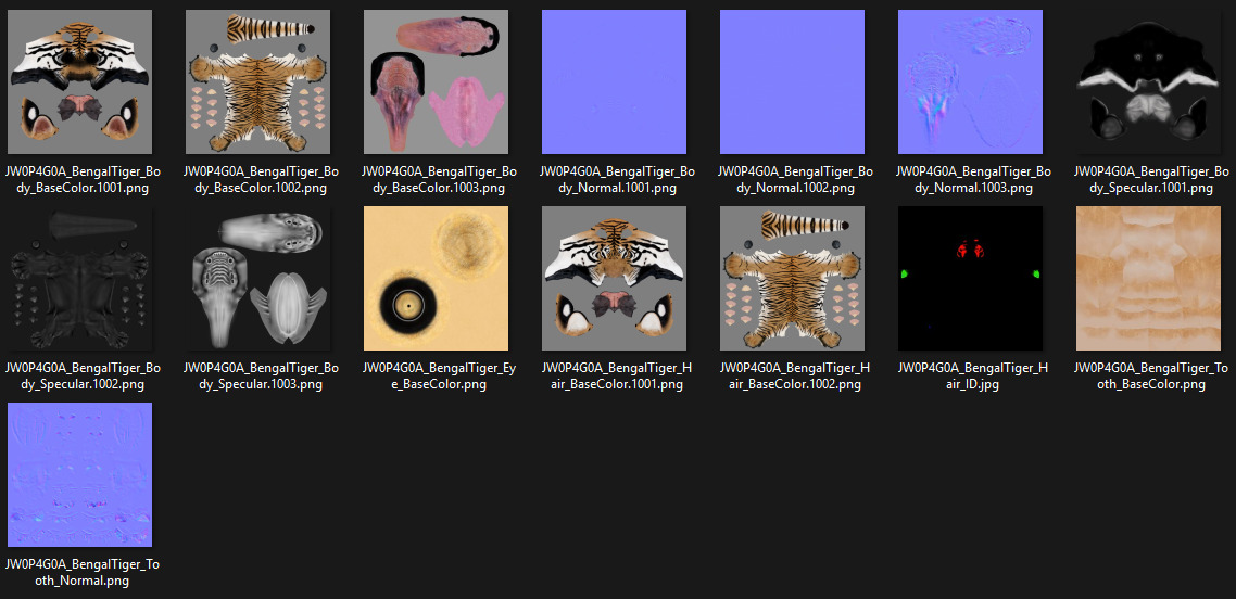 Bengal Tiger Animation - Blender 3D Model 3D model_27