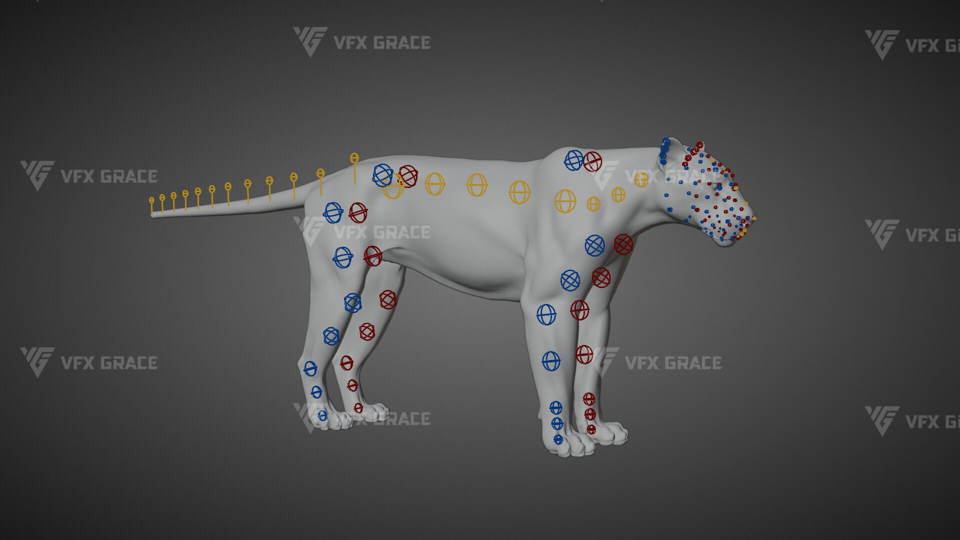 Bengal Tiger Animation - Blender 3D Model 3D model_15