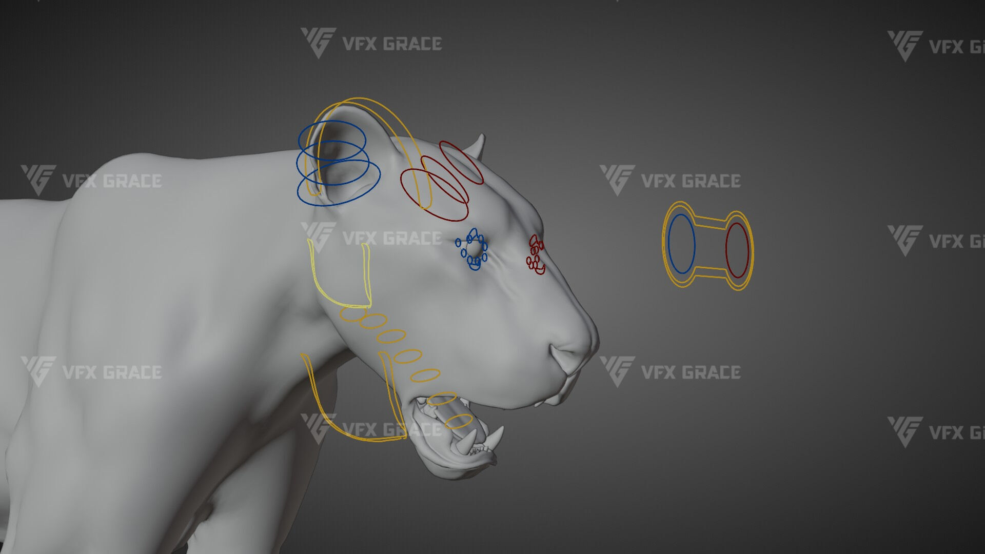 Bengal Tiger Animation - Blender 3D Model 3D model_17