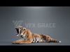 Bengal Tiger Animation - Blender 3D Model 3D model_3