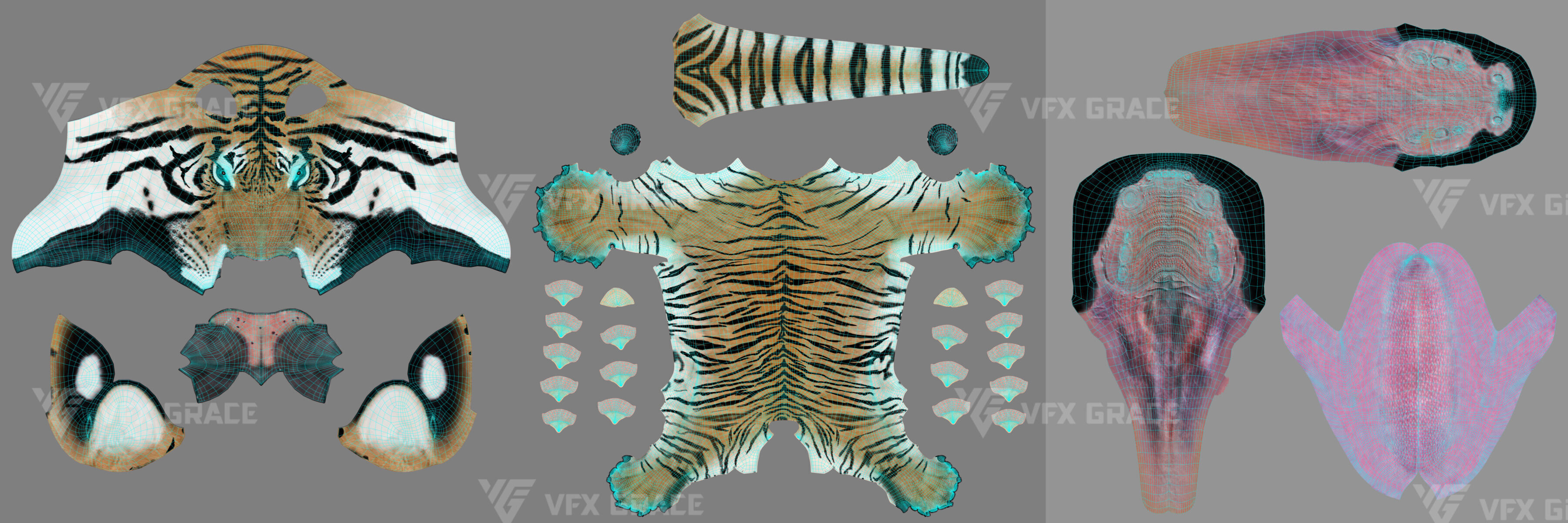 Bengal Tiger Animation - Blender 3D Model 3D model_24