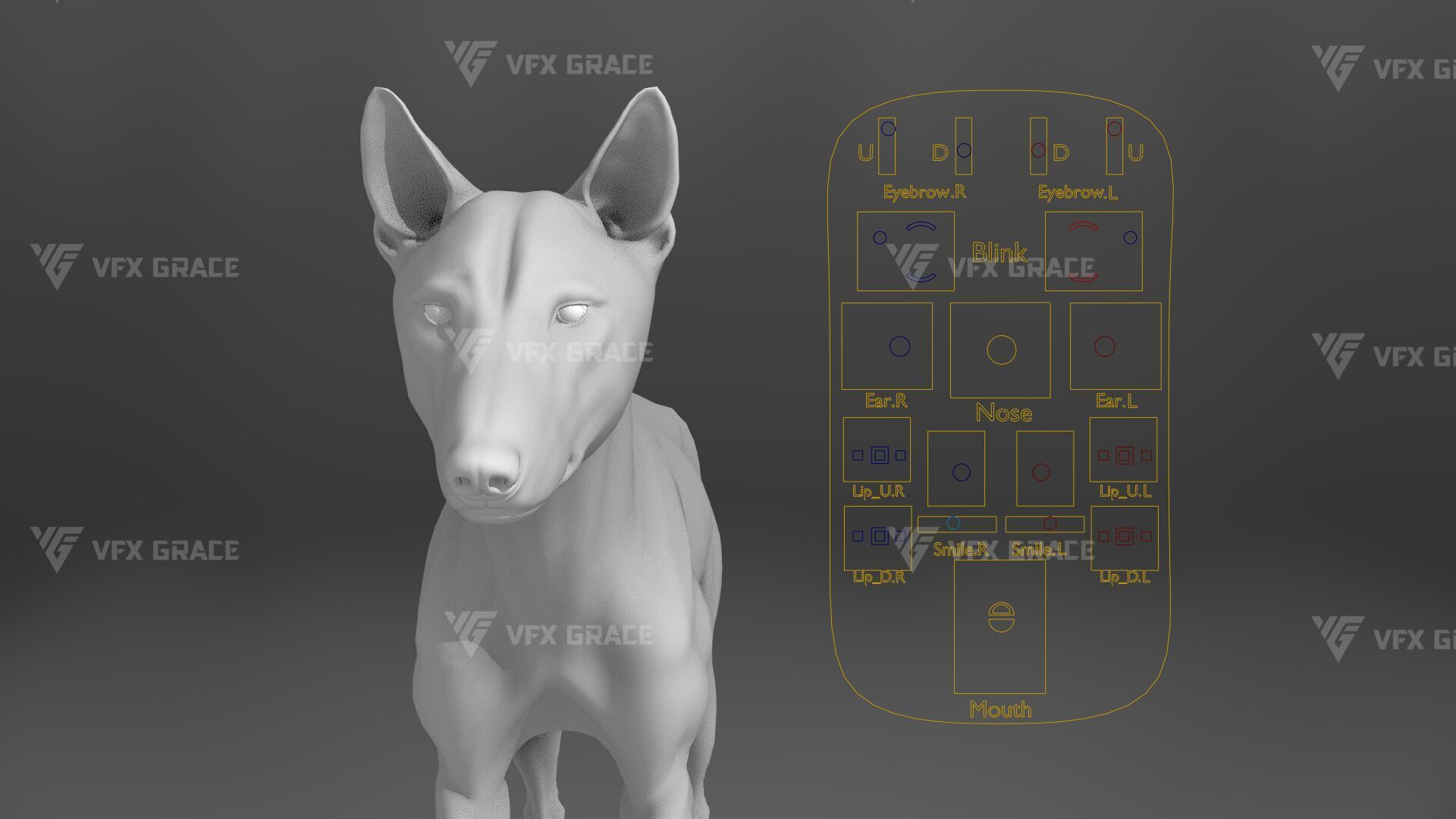 Arctic Wolf Animation - Blender 3D Model 3D model_19