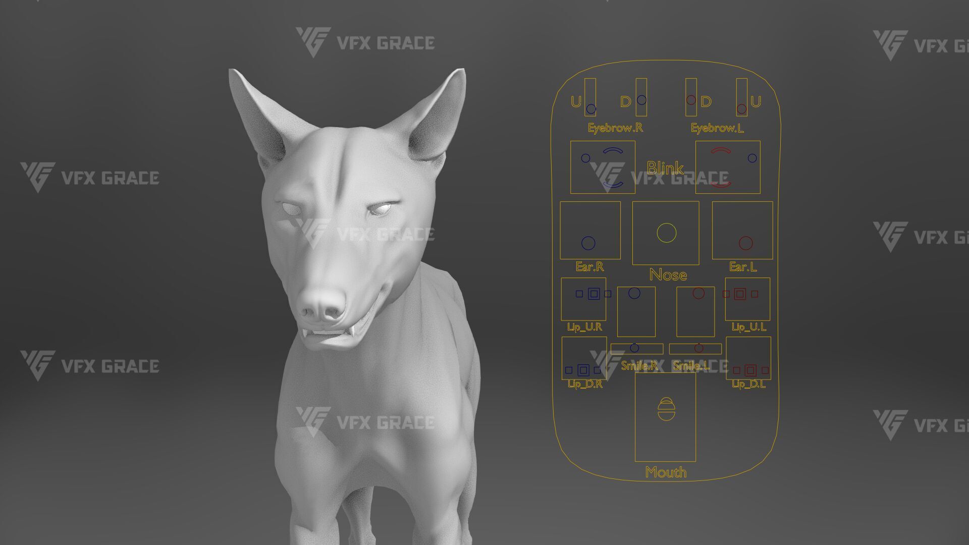 Arctic Wolf Animation - Blender 3D Model 3D model_20