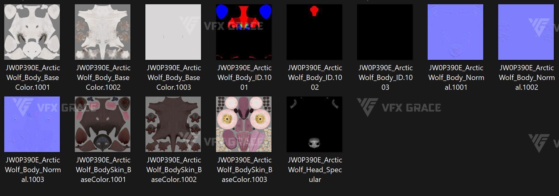 Arctic Wolf Animation - Blender 3D Model 3D model_23