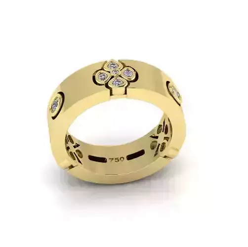 Ring Model 7697