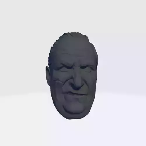 Head Sculpt  3D Model Inspired by The Penguin 3D print model