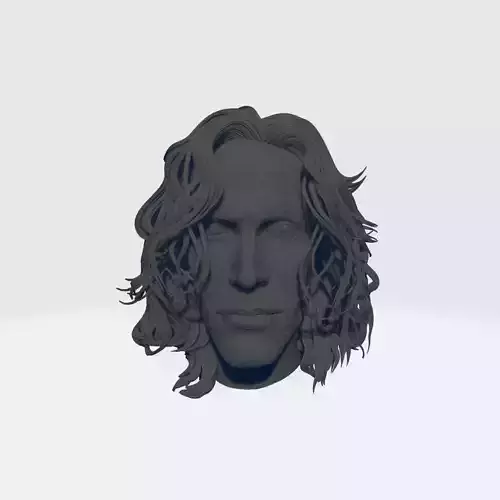 Head Sculpt  3D Model Inspired by The Crow 3D print model