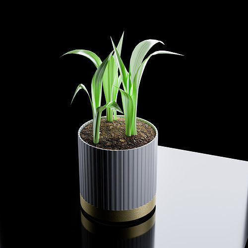  3D Plant Model Clean Air Indoor Potted Plant for Renders 3D model
