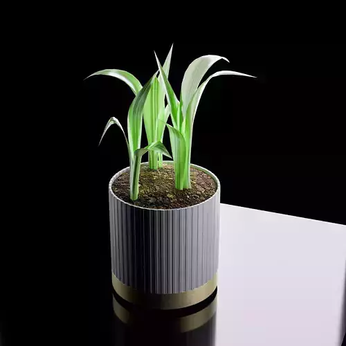  3D Plant Model Clean Air Indoor Potted Plant for Renders 3D model