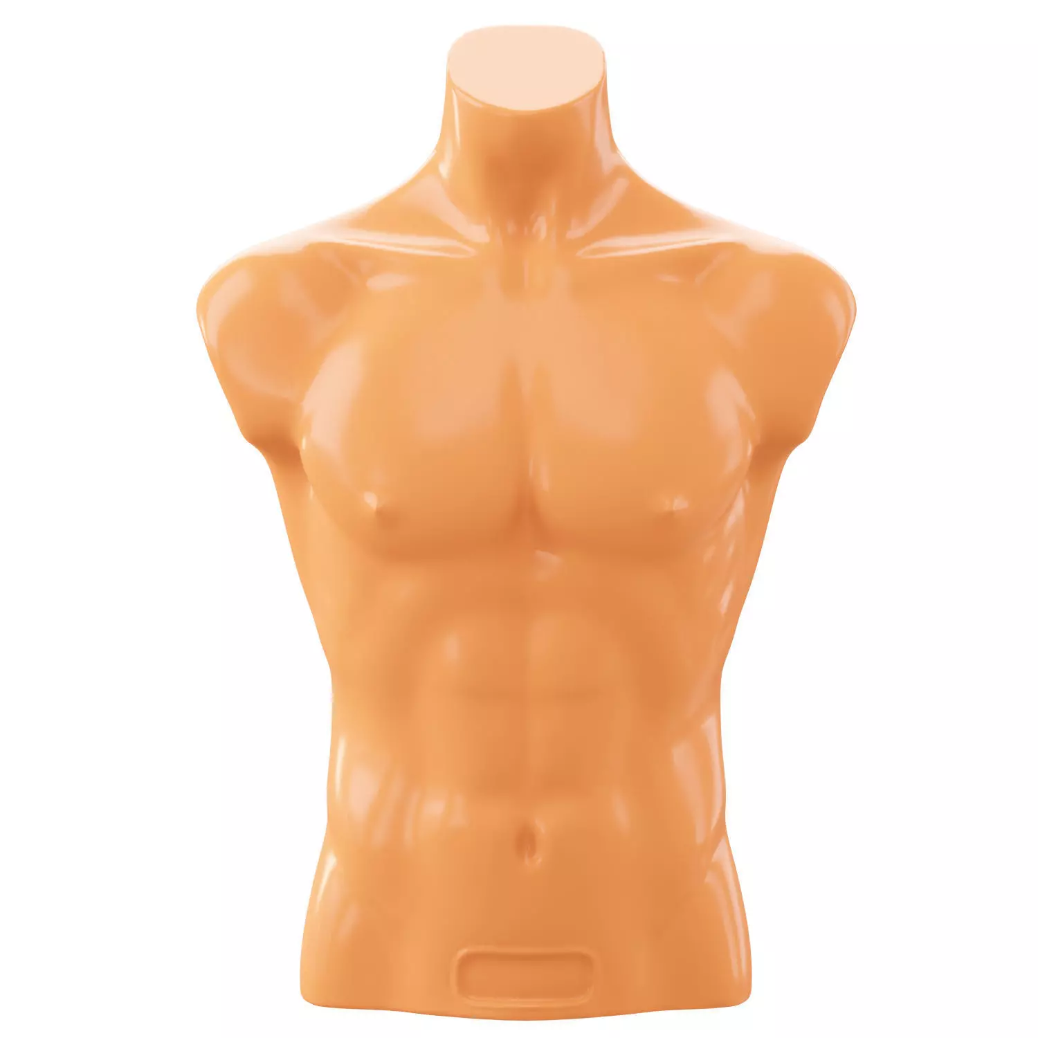 Mannequin male torso demonstration 3D model_0
