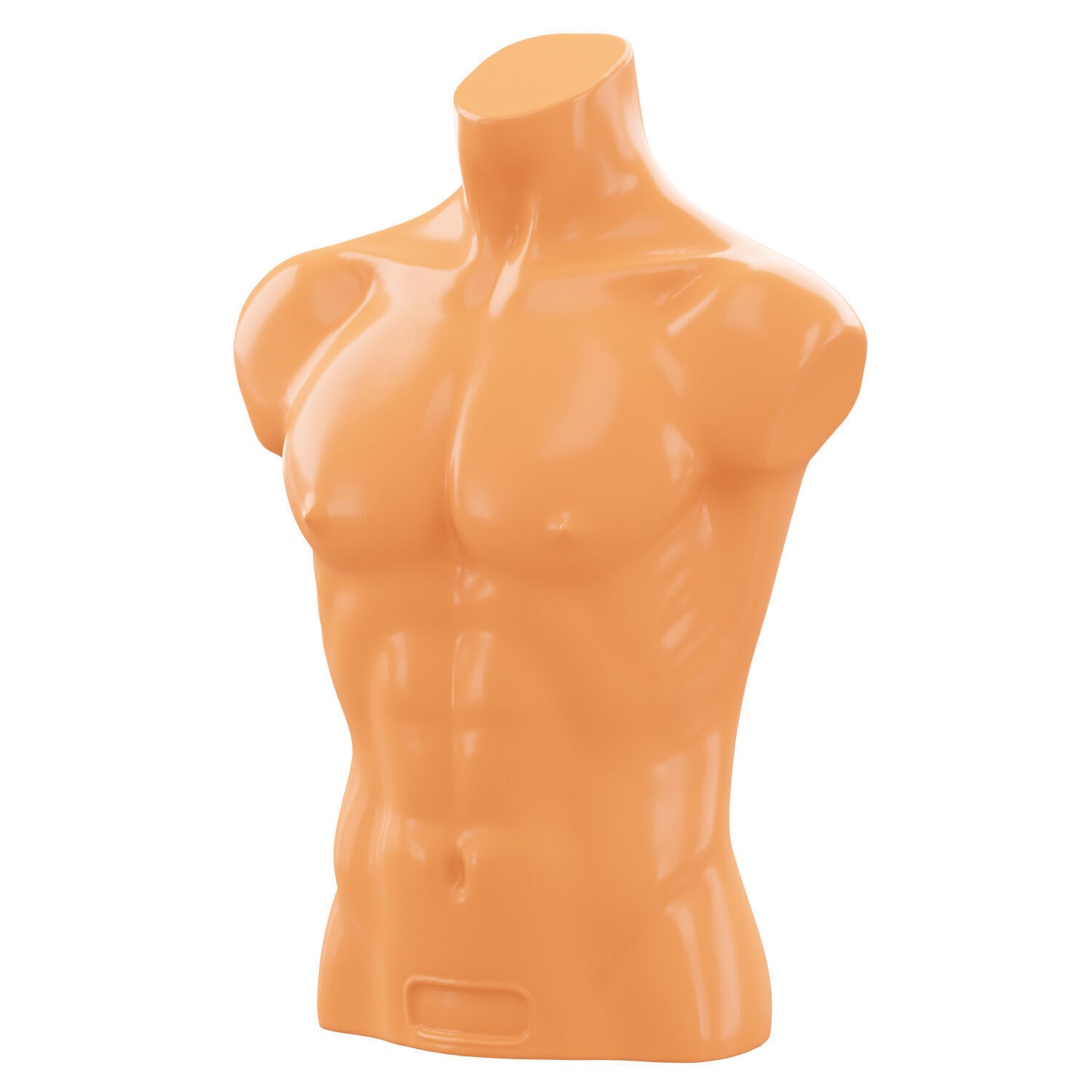 Mannequin male torso demonstration 3D model_1