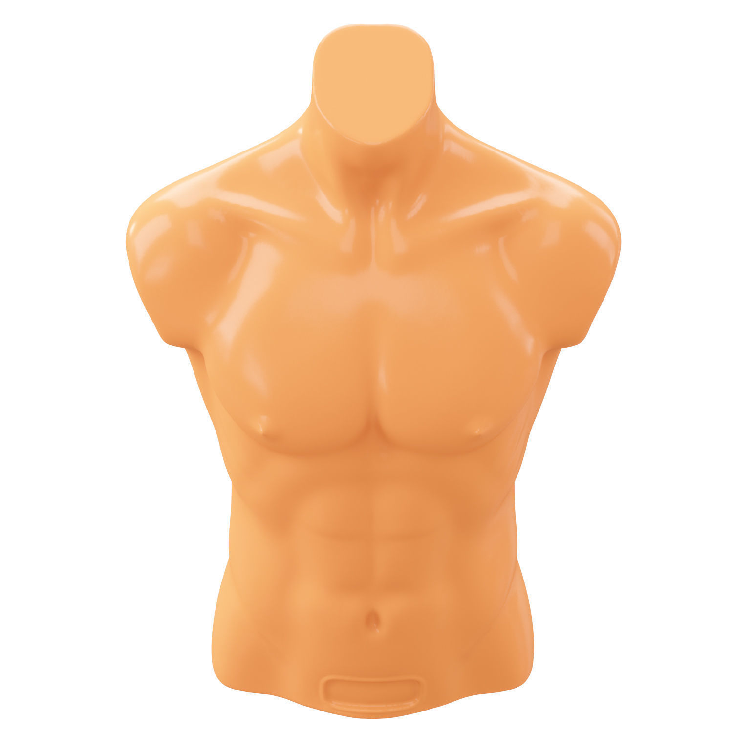 Mannequin male torso demonstration 3D model_3