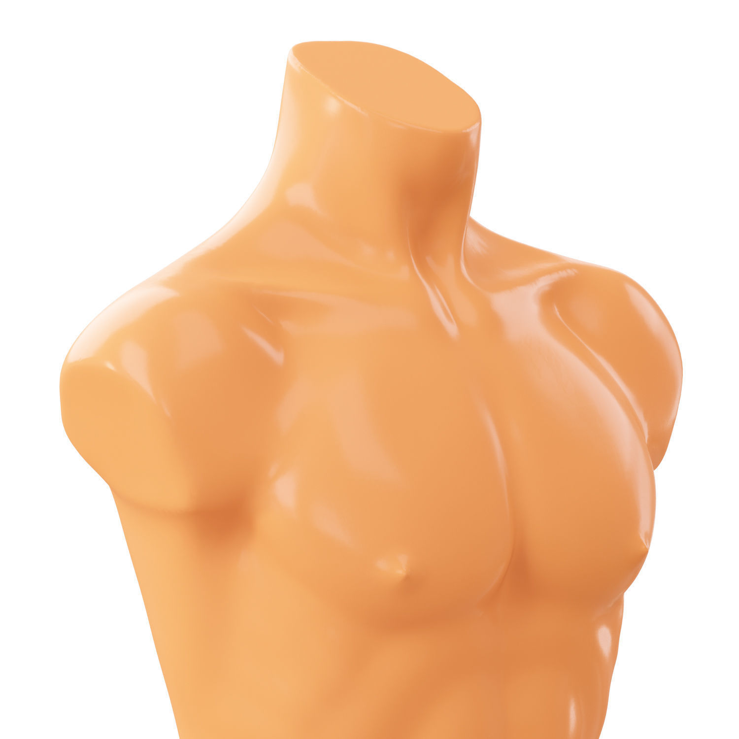 Mannequin male torso demonstration 3D model_2