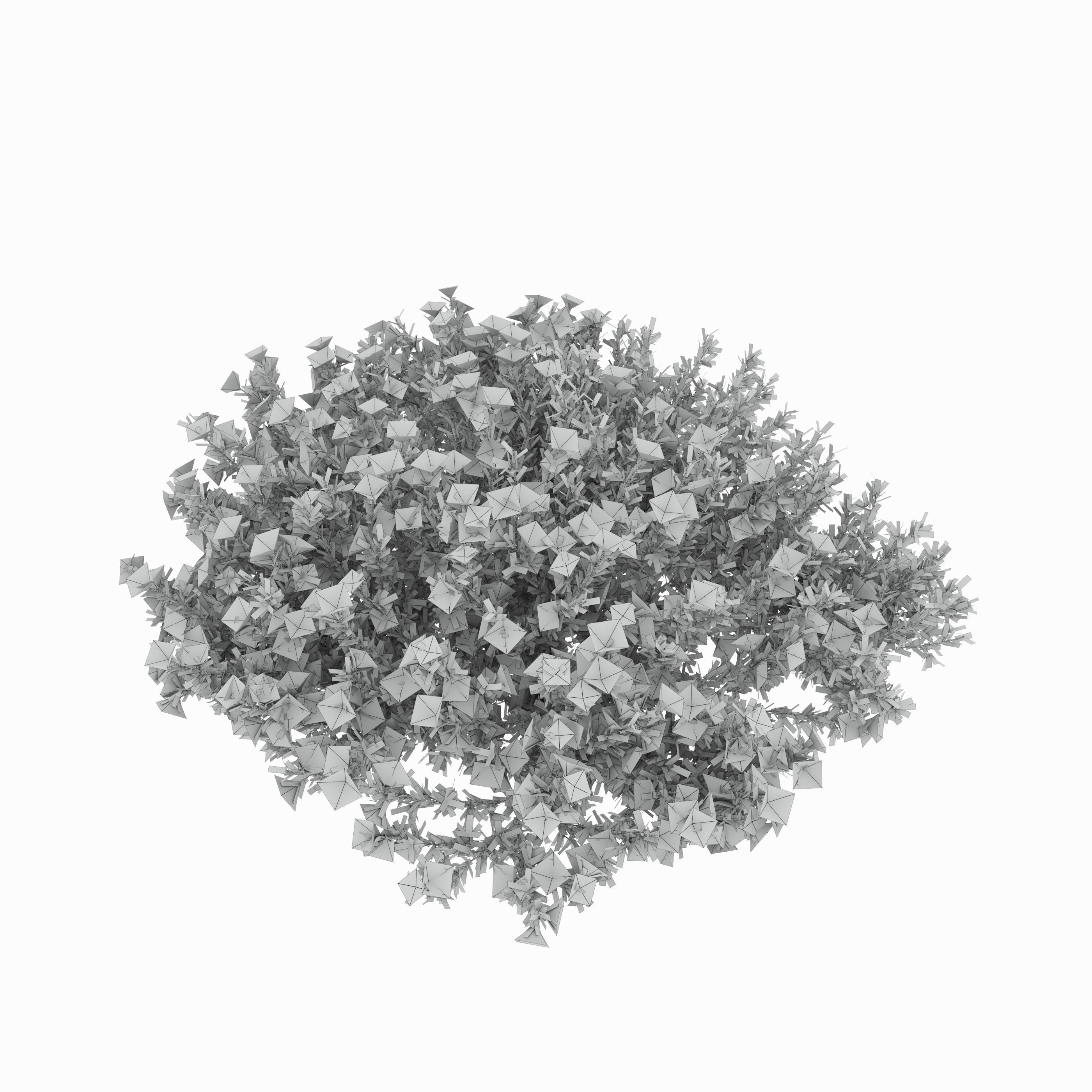 Mediterranean bush 3D model_5