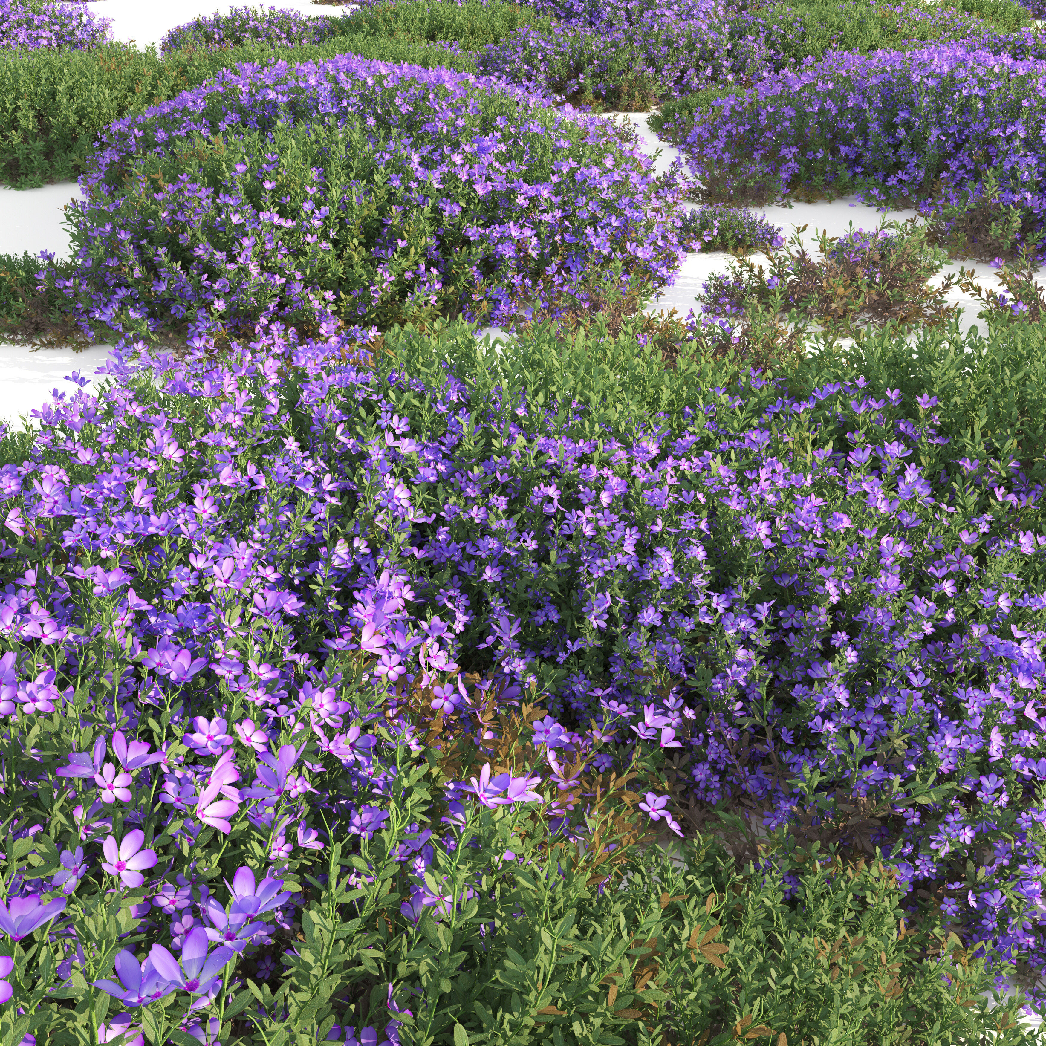 Mediterranean bush 3D model_2