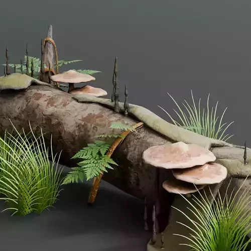 Fallen Wooden Tree Log with Foliage