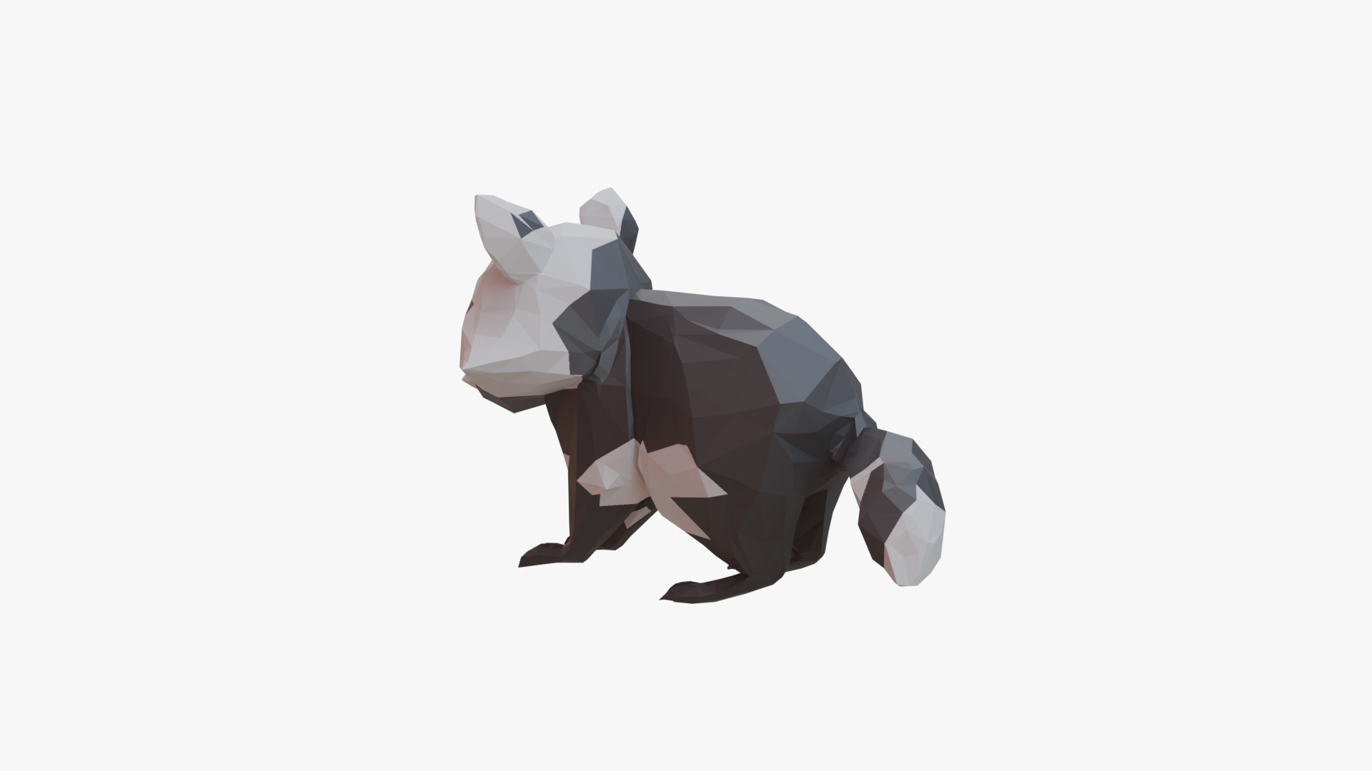 Raccoon low poly Low-poly 3D model_5