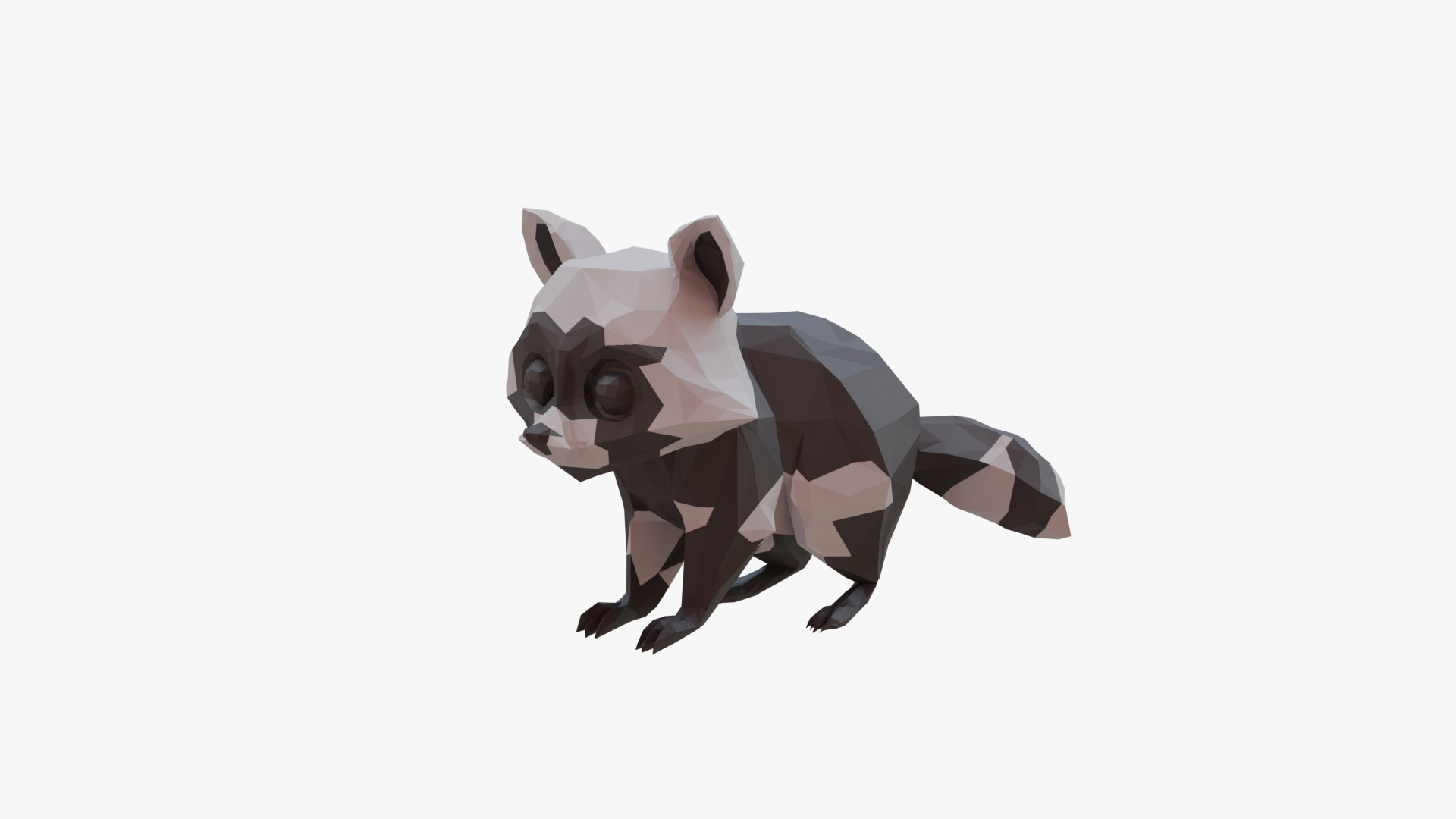 Raccoon low poly Low-poly 3D model_1