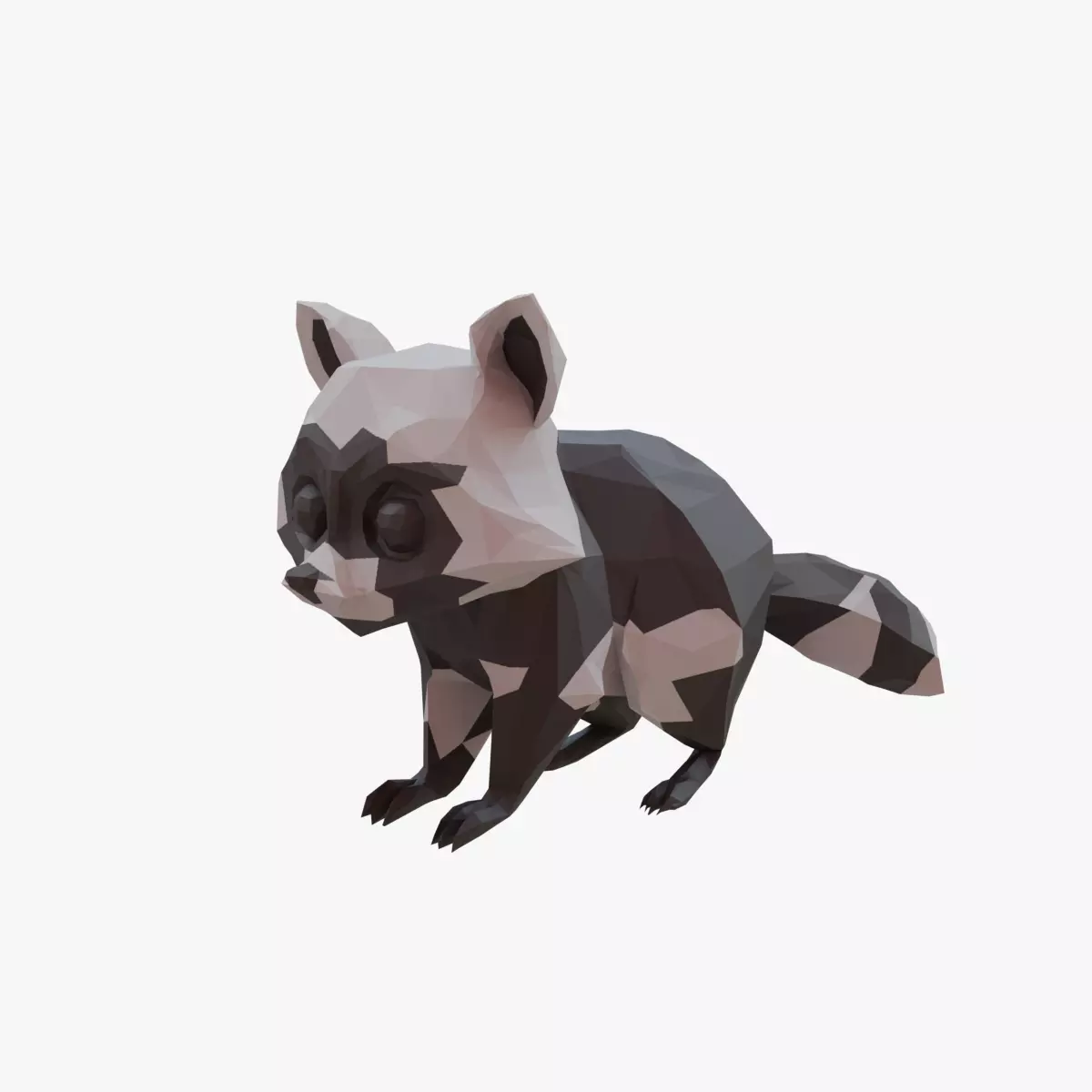 Raccoon low poly Low-poly 3D model_0