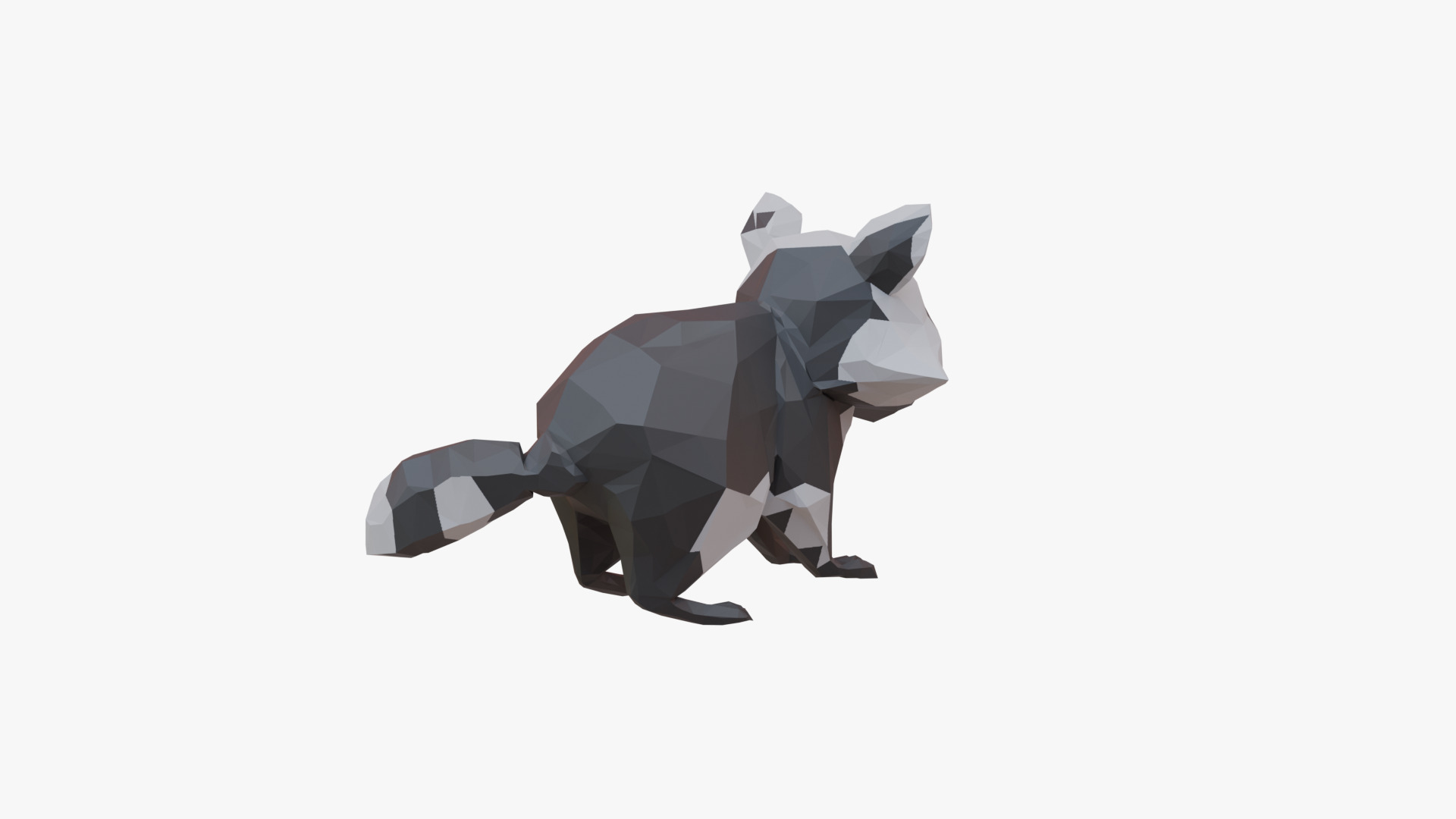 Raccoon low poly Low-poly 3D model_4