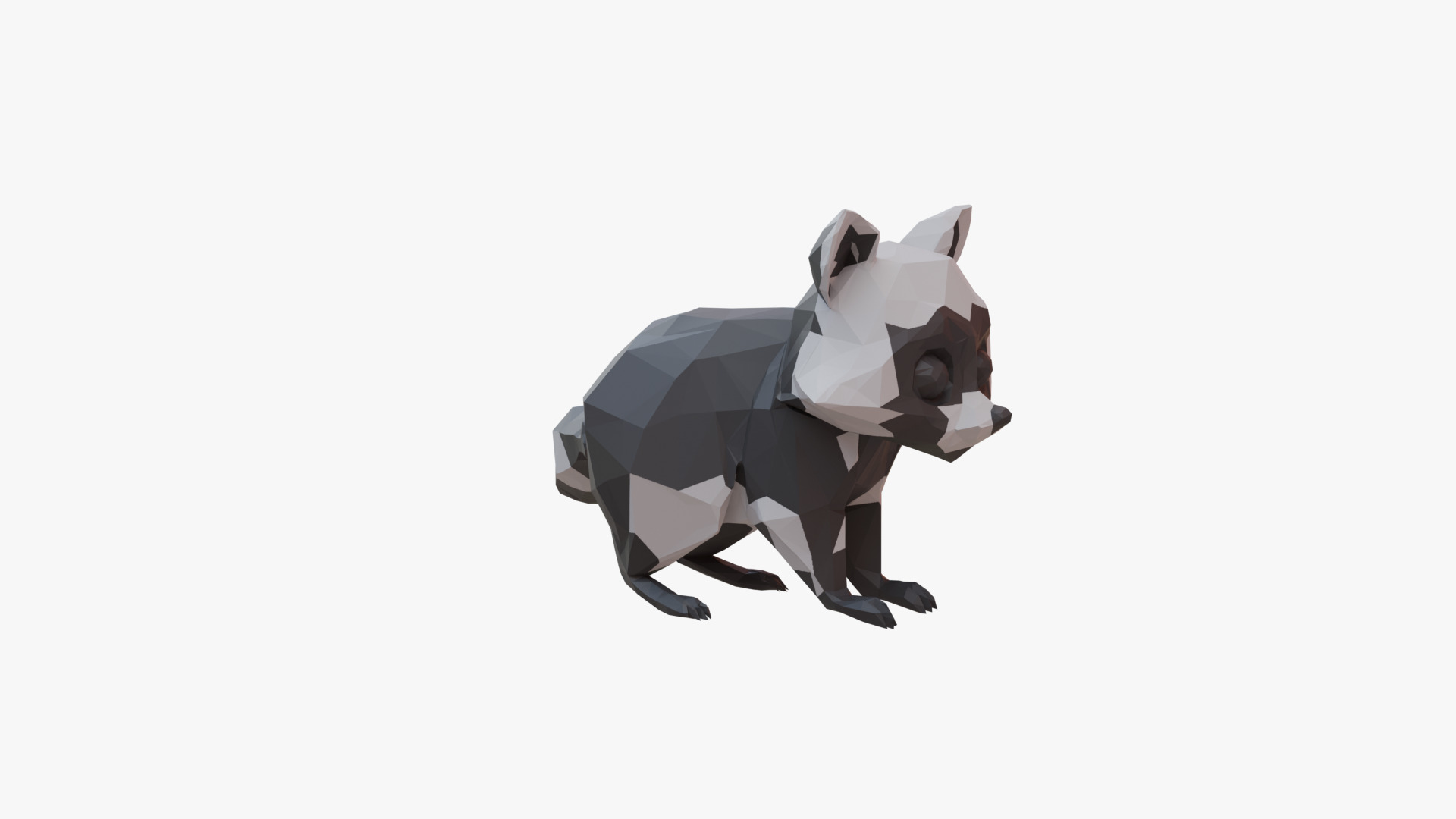 Raccoon low poly Low-poly 3D model_3