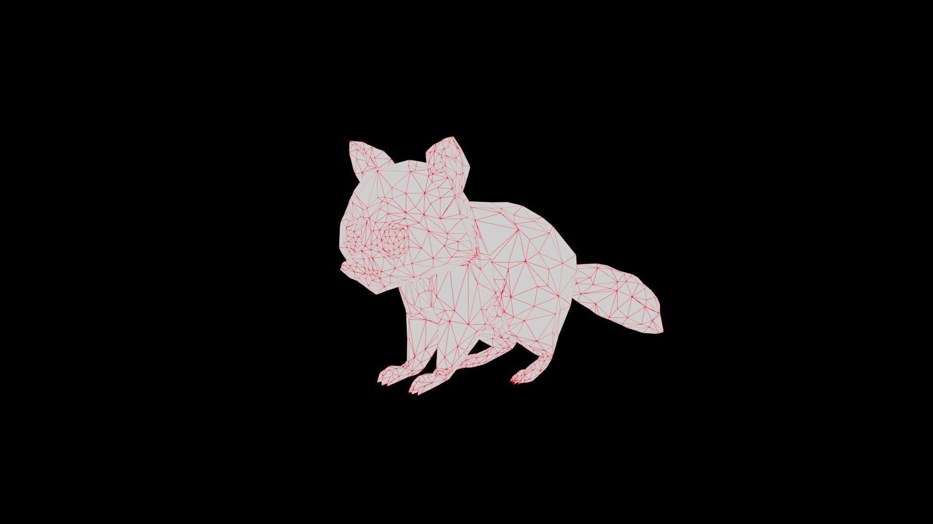 Raccoon low poly Low-poly 3D model_6