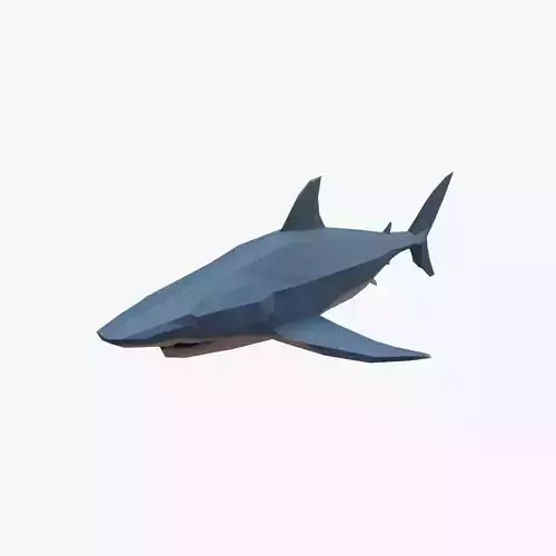 Shark low poly