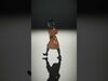 Glamorous Celeb Icons in Cartoon Style 3D Model Collection_27