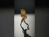 Stylized Blonde Female Character Rigged and Animated Low-poly 3D model_2