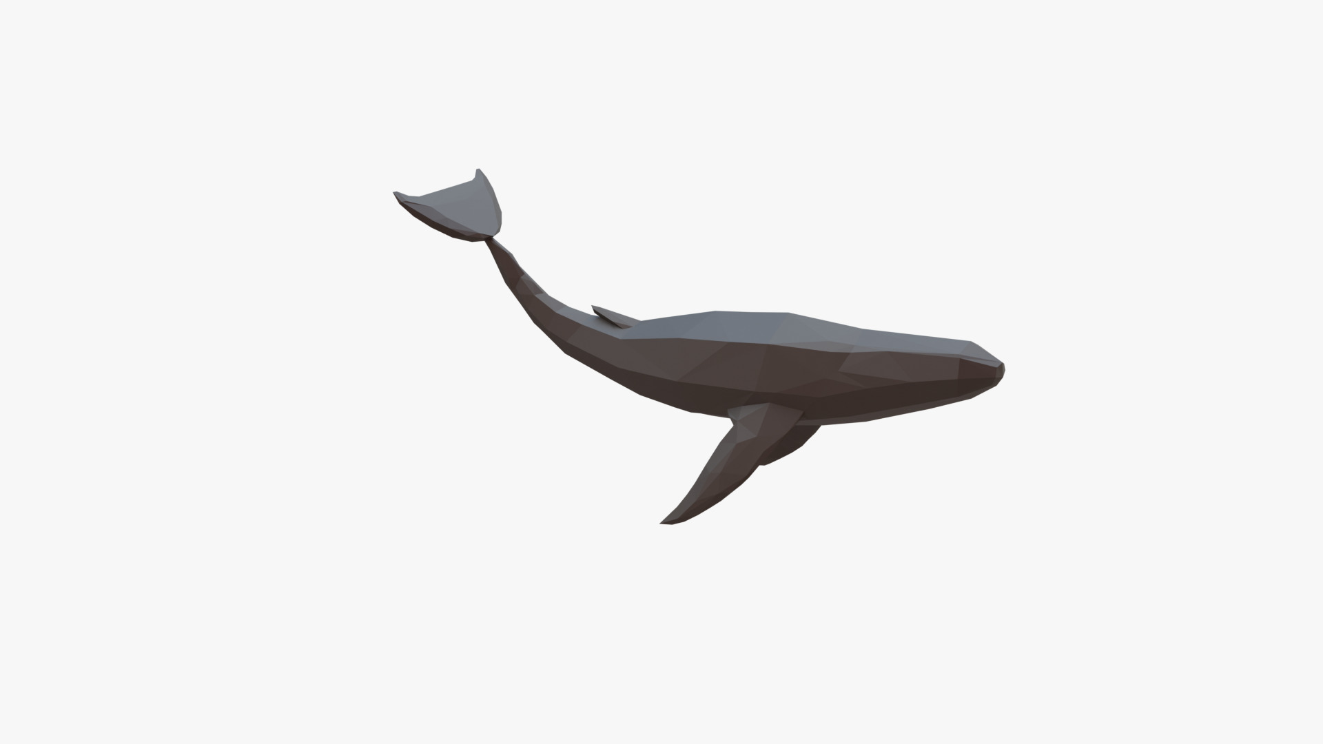 Whale low poly Low-poly 3D model_3