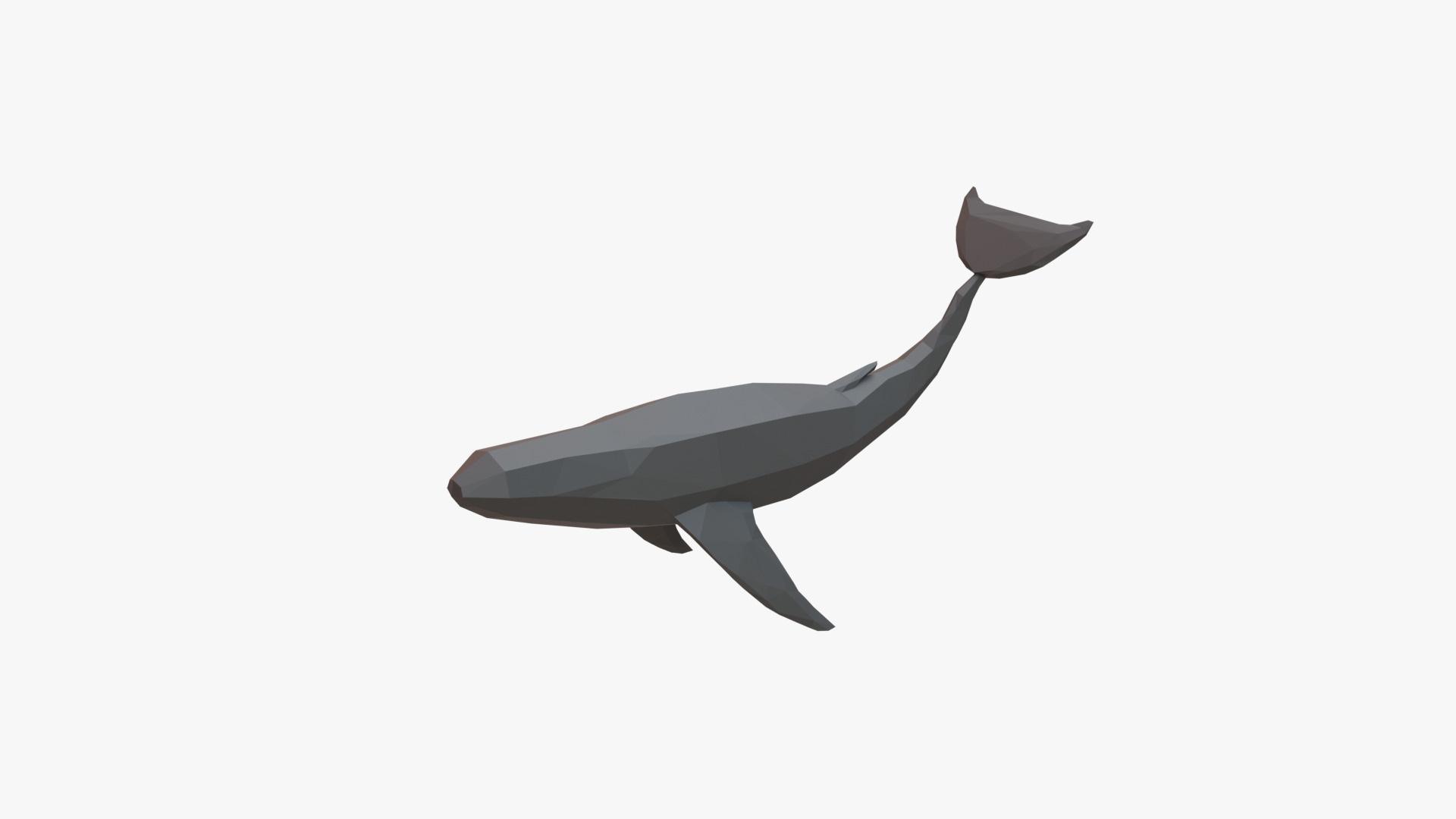 Whale low poly Low-poly 3D model_1
