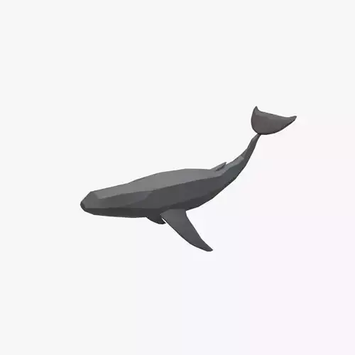 Whale low poly Low-poly 3D model