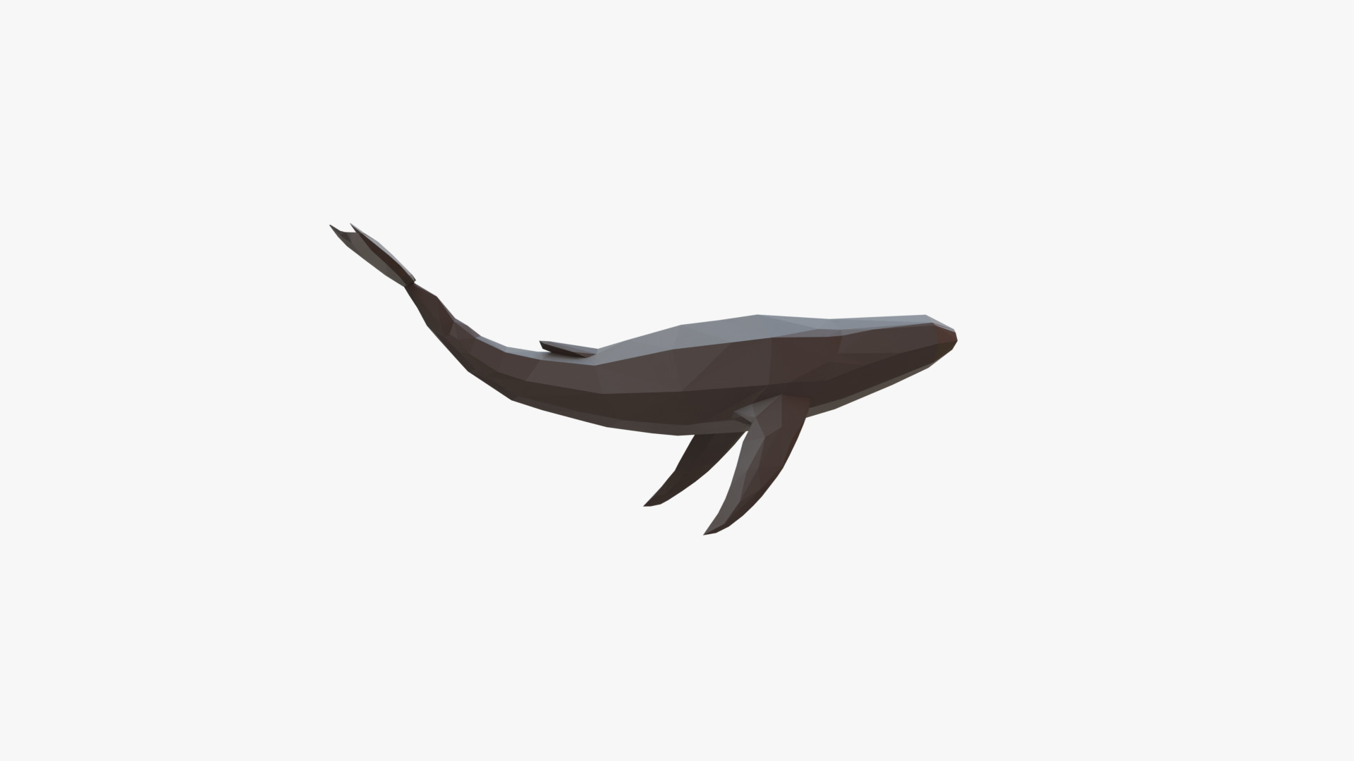 Whale low poly Low-poly 3D model_4