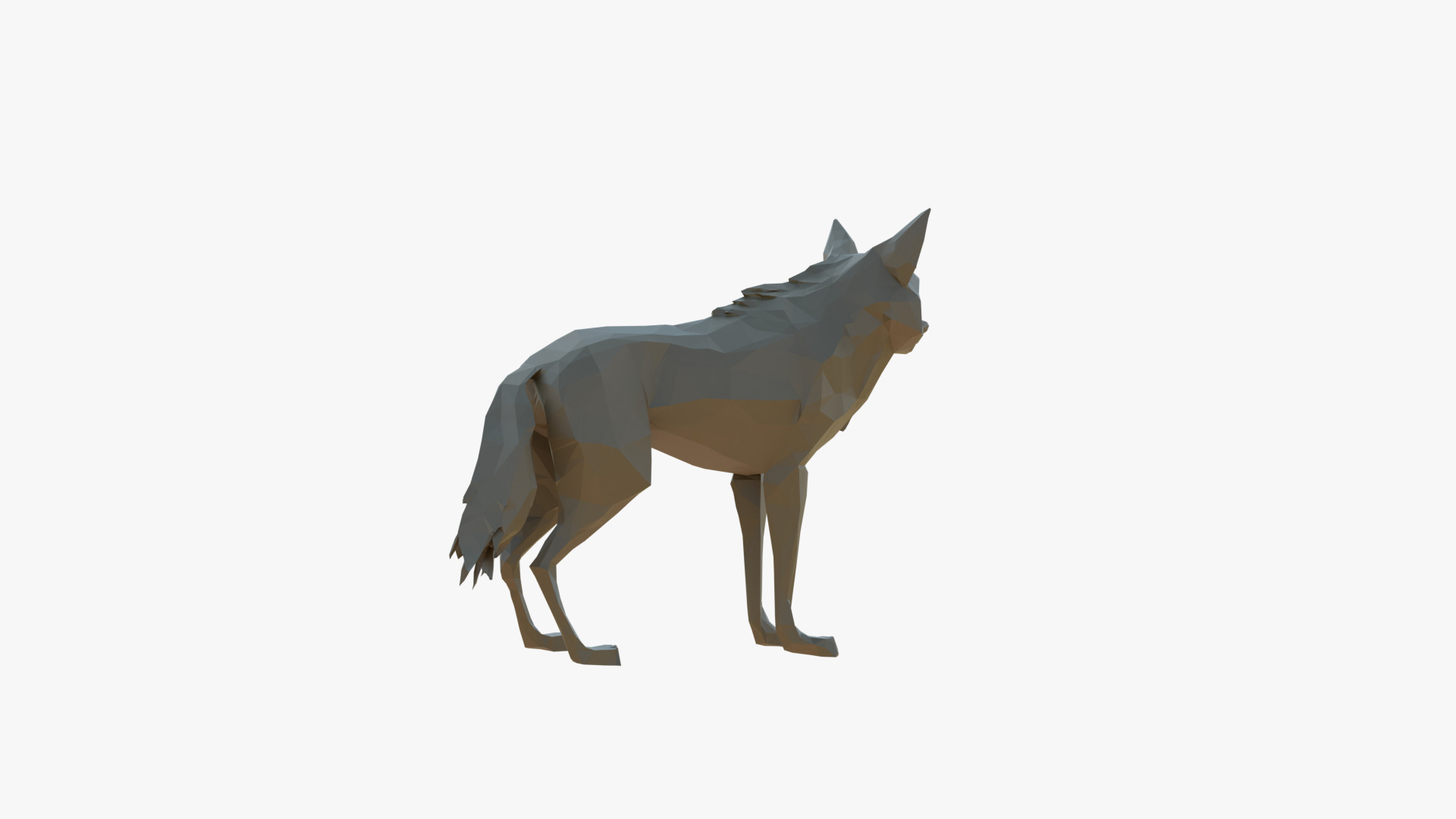 Wolf low poly Low-poly 3D model_4