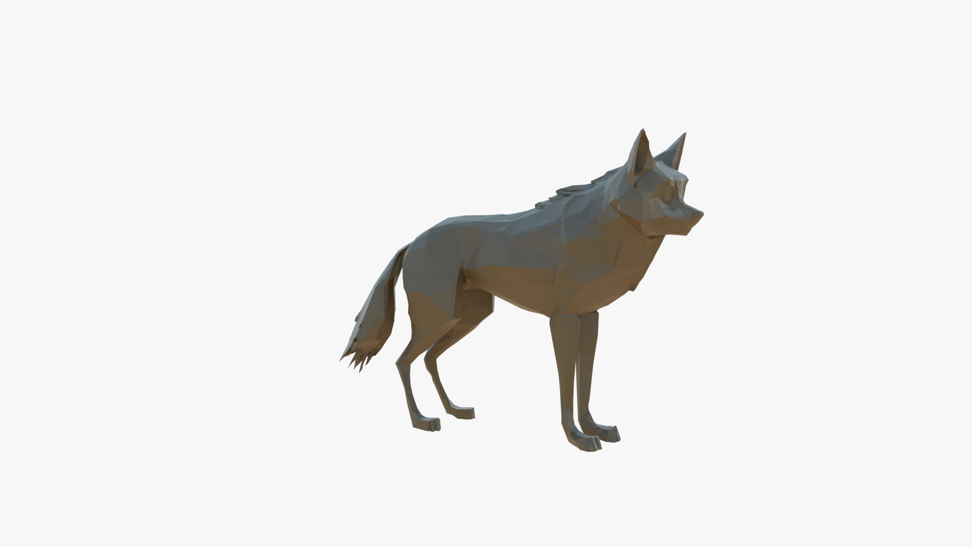 Wolf low poly Low-poly 3D model_3
