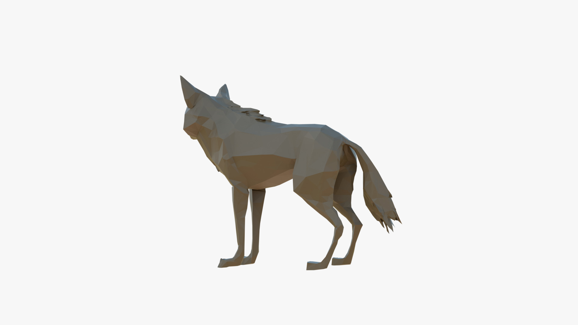 Wolf low poly Low-poly 3D model_5