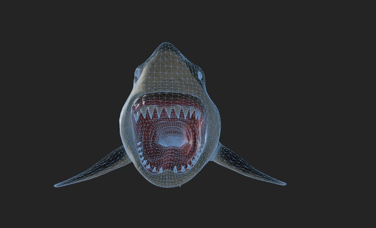 Great White Angry Shark - Ocean Fish 3D model_11