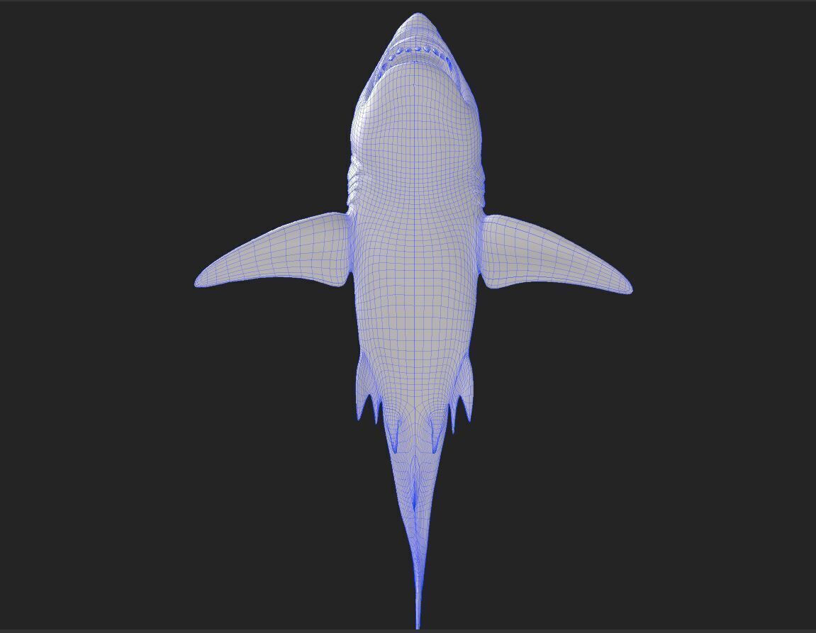 Great White Angry Shark - Ocean Fish 3D model_3