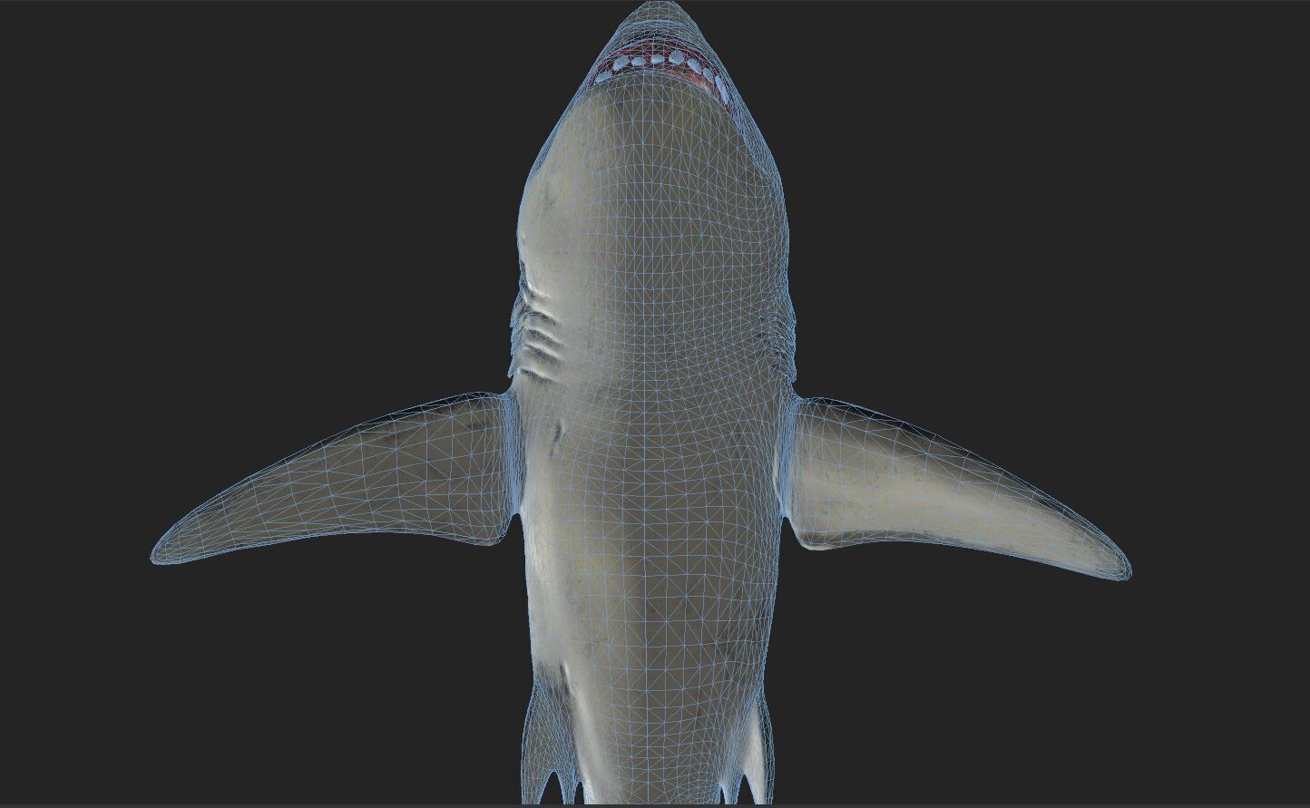 Great White Angry Shark - Ocean Fish 3D model_12