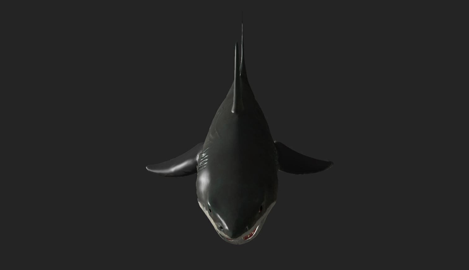 Great White Angry Shark - Ocean Fish 3D model_8