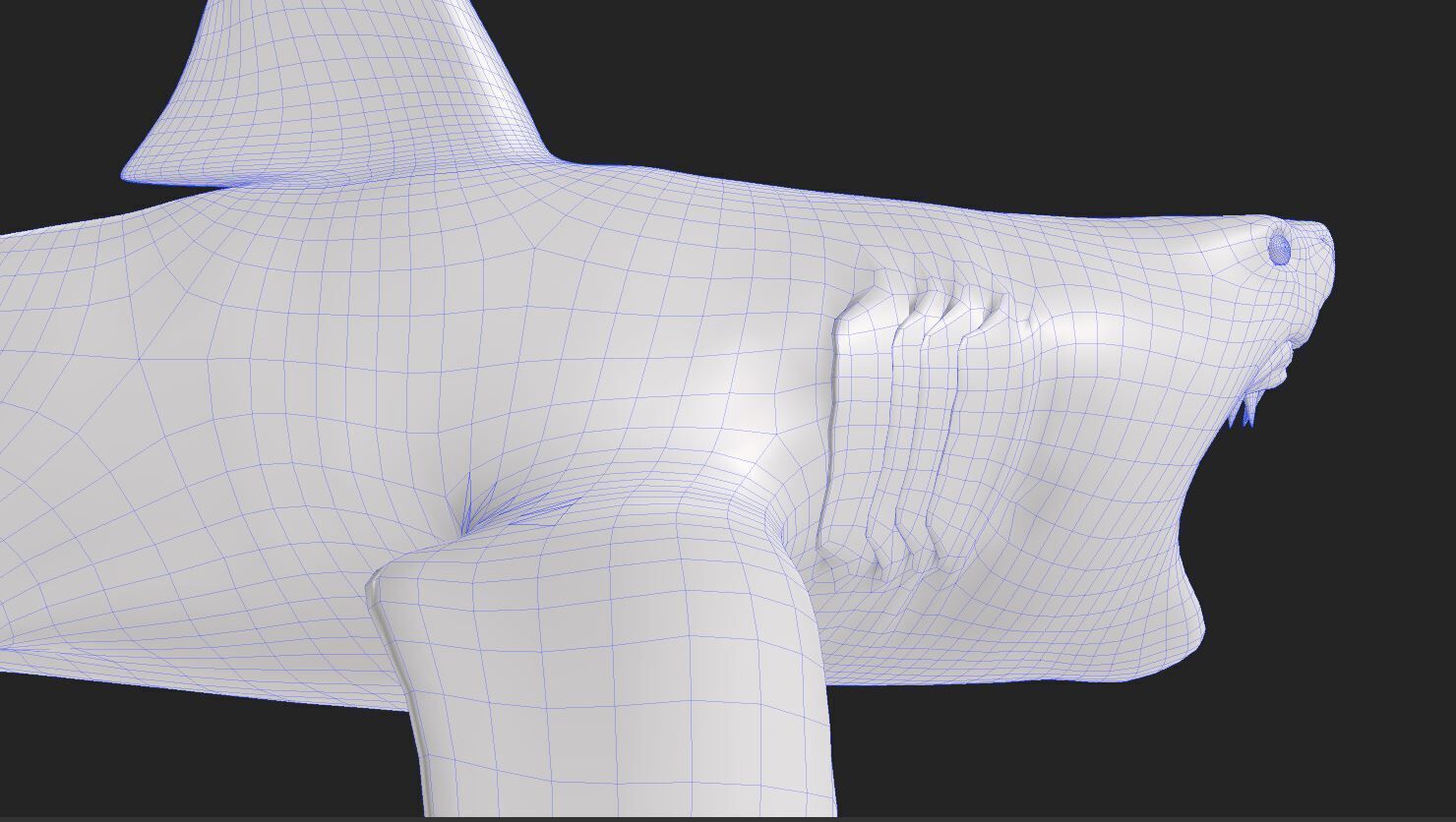 Great White Angry Shark - Ocean Fish 3D model_5