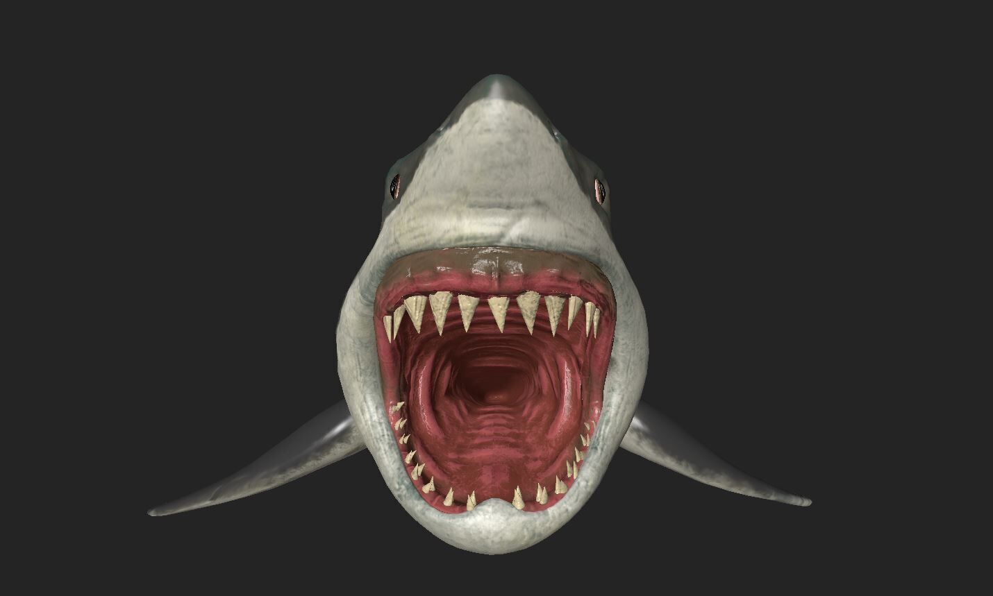 Great White Angry Shark - Ocean Fish 3D model_6