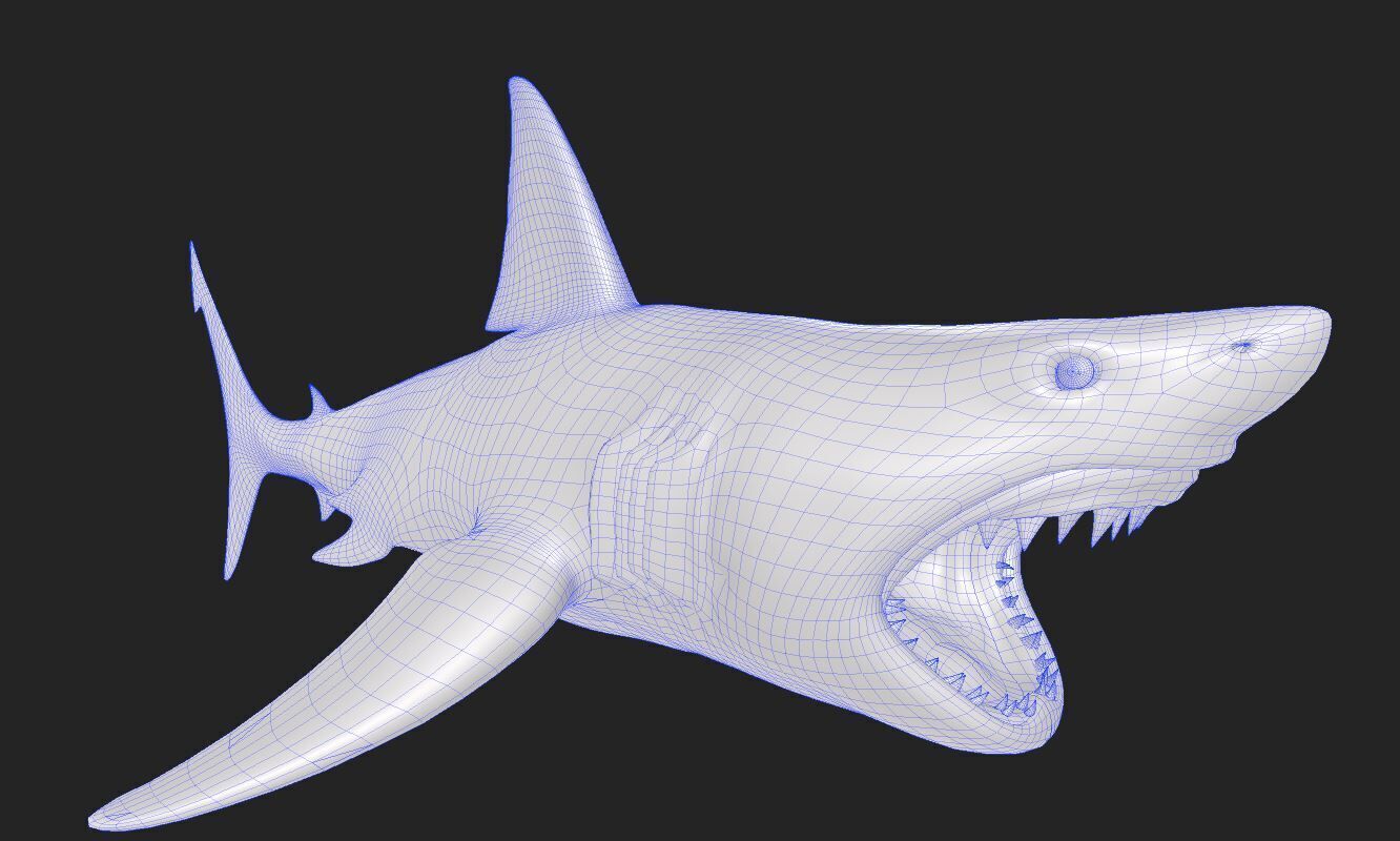 Great White Angry Shark - Ocean Fish 3D model_13