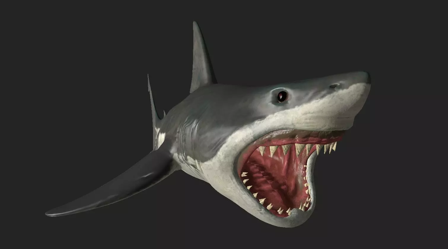 Great White Angry Shark - Ocean Fish 3D model_0