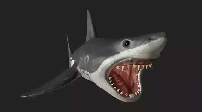Great White Angry Shark - Ocean Fish