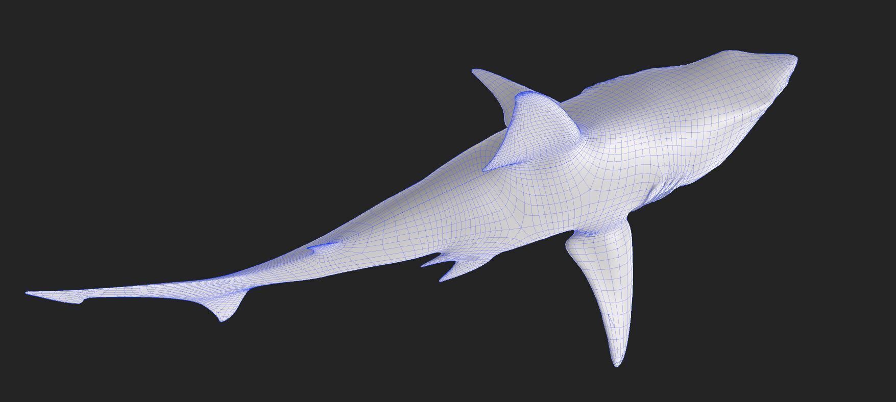 Great White Angry Shark - Ocean Fish 3D model_4