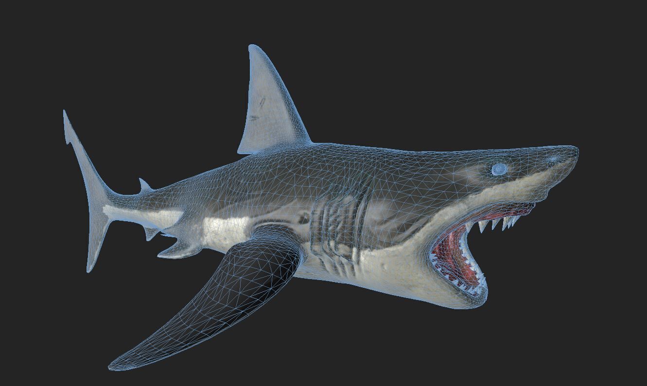 Great White Angry Shark - Ocean Fish 3D model_10