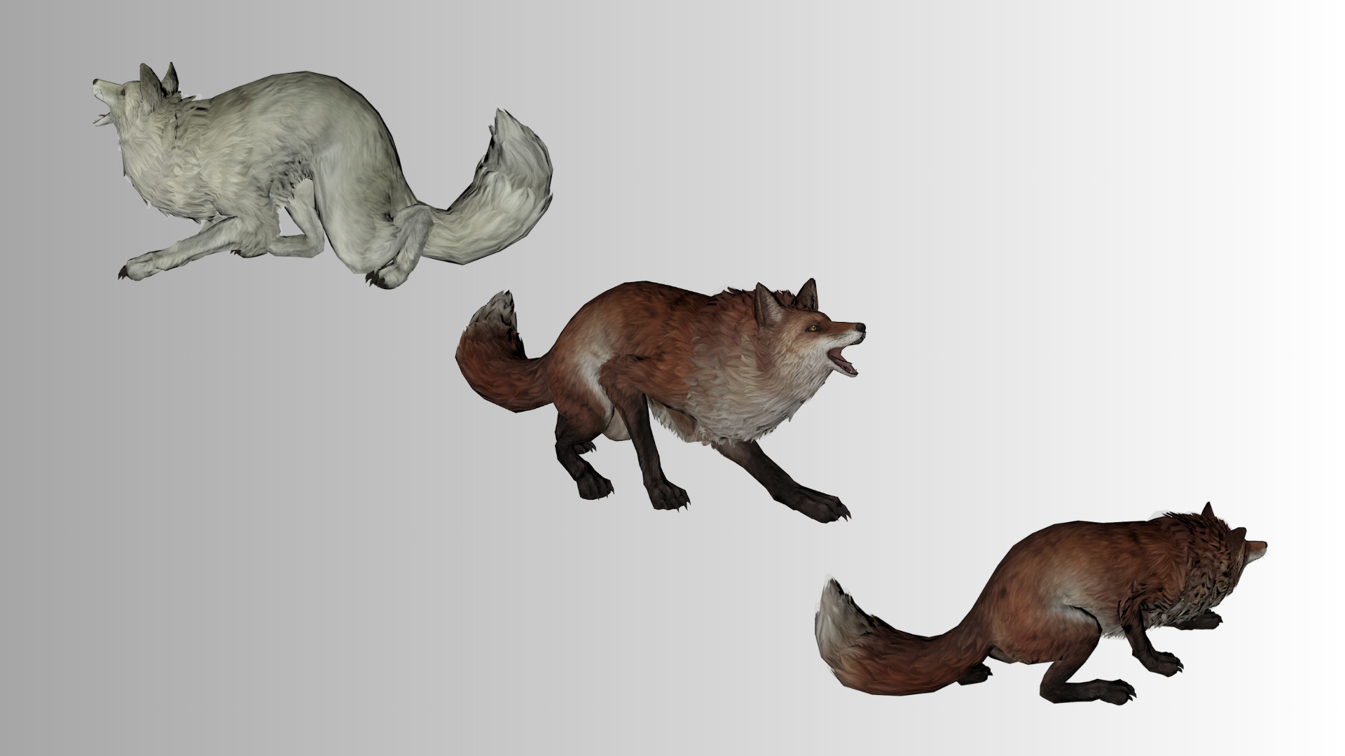 Stylized Fox 3D Model  Game Ready Multiple Colors  Low-poly 3D model_3