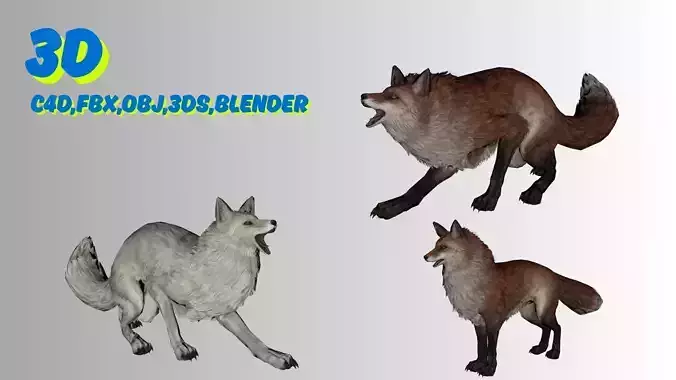 Stylized Fox 3D Model  Game Ready Multiple Colors 