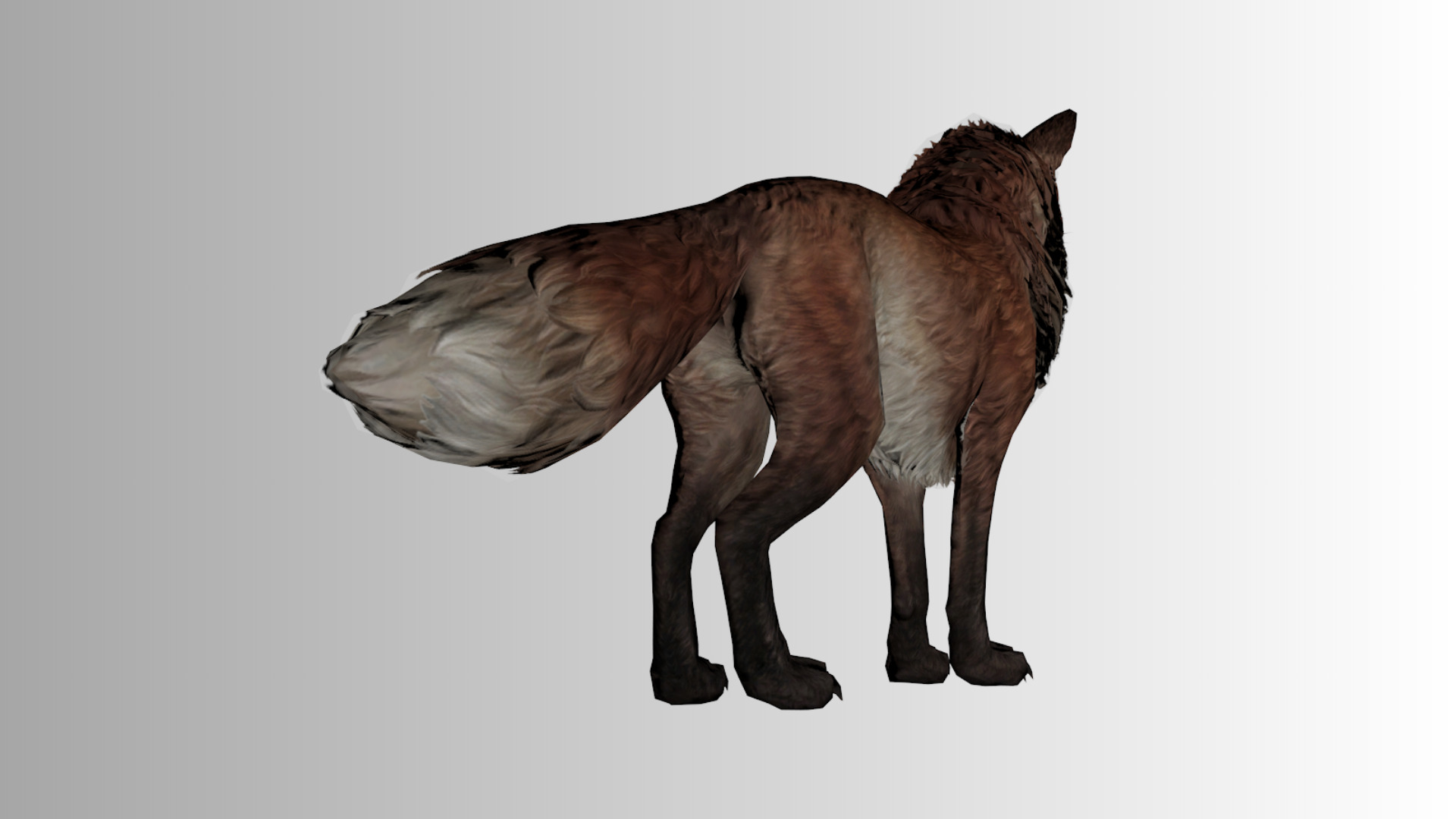 Stylized Fox 3D Model  Game Ready Multiple Colors  Low-poly 3D model_1